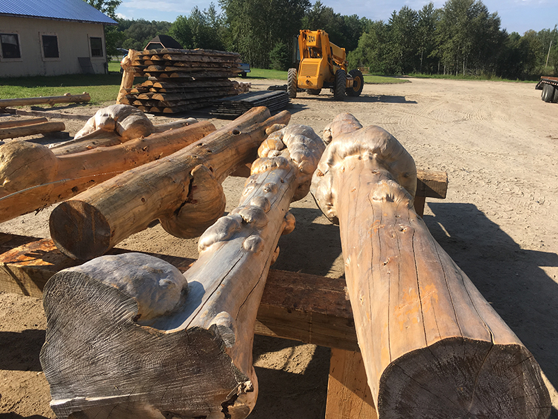 Log Burls & Specialty Logs by Creative Log Structure