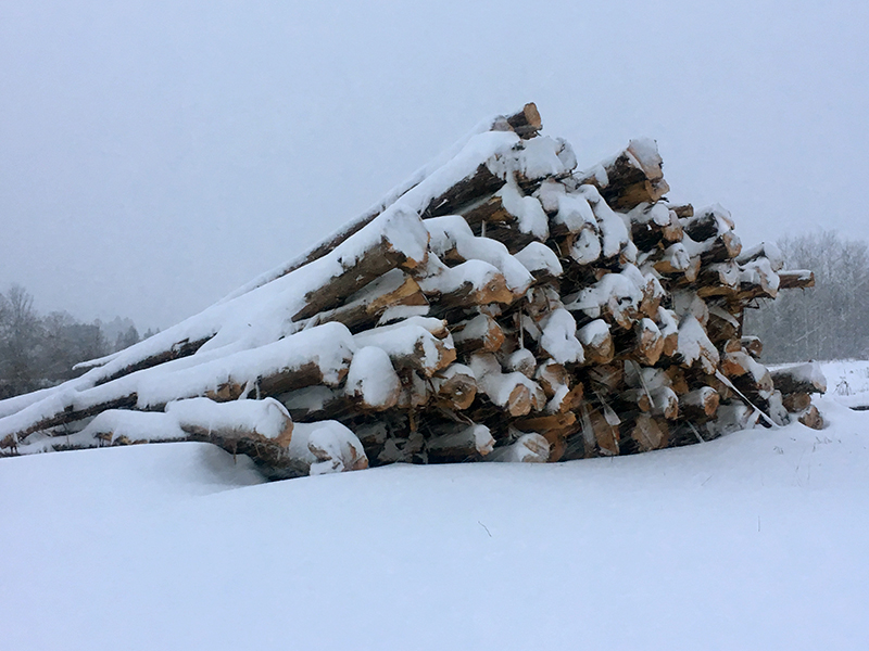 Log Burls & Specialty Logs by Creative Log Structure
